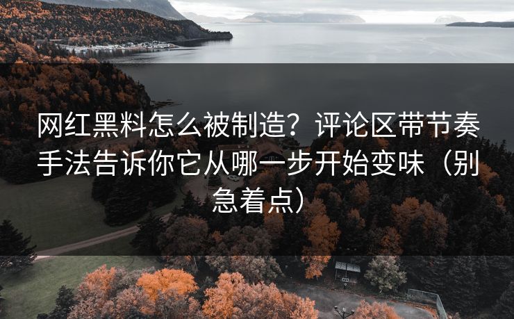 网红黑料怎么被制造？评论区带节奏手法告诉你它从哪一步开始变味（别急着点）
