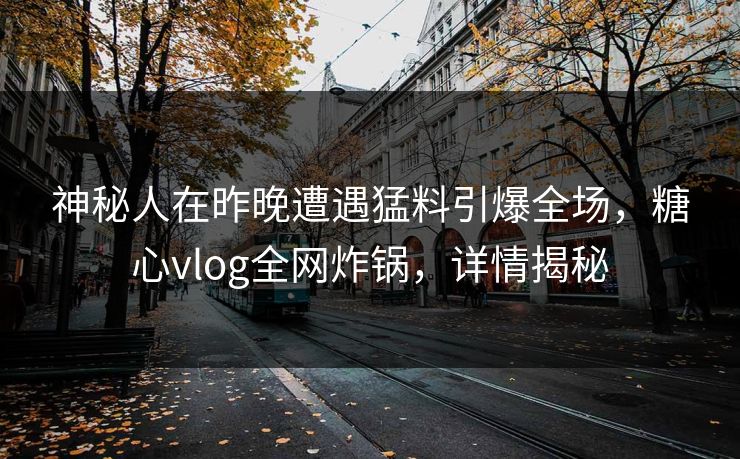 神秘人在昨晚遭遇猛料引爆全场，糖心vlog全网炸锅，详情揭秘