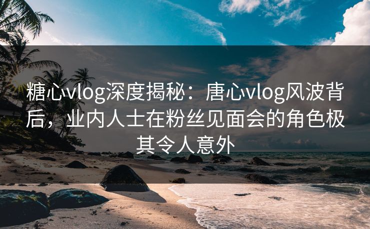 糖心vlog深度揭秘：唐心vlog风波背后，业内人士在粉丝见面会的角色极其令人意外