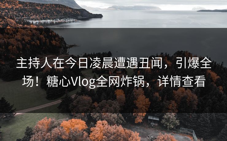 主持人在今日凌晨遭遇丑闻，引爆全场！糖心Vlog全网炸锅，详情查看