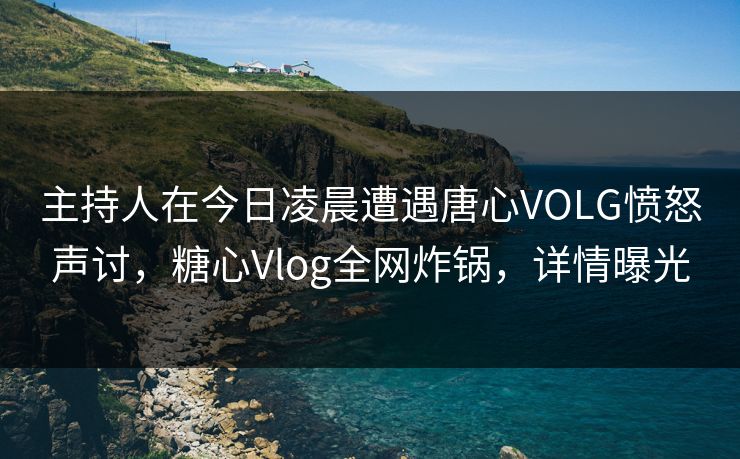 主持人在今日凌晨遭遇唐心VOLG愤怒声讨，糖心Vlog全网炸锅，详情曝光