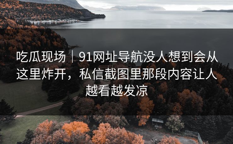 吃瓜现场｜91网址导航没人想到会从这里炸开，私信截图里那段内容让人越看越发凉  第1张