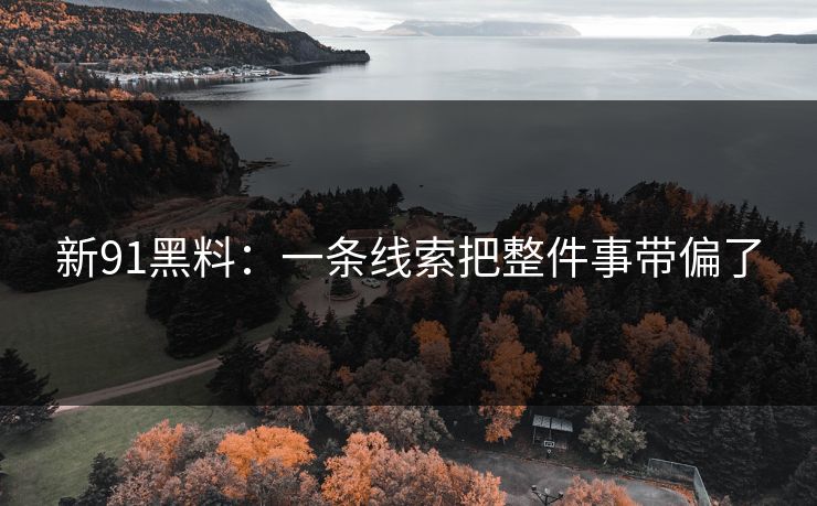 新91黑料：一条线索把整件事带偏了  第1张